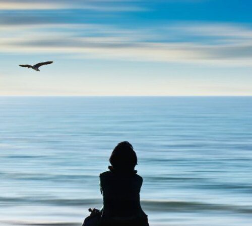 THE ONES LEFT BEHIND